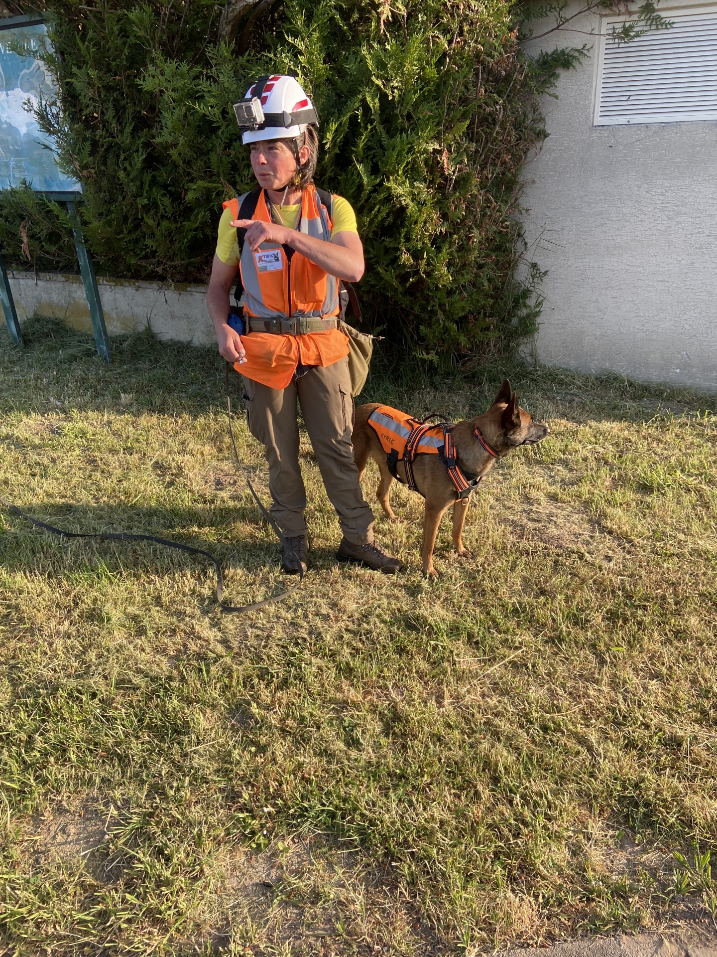 Recherche de fuites cynophile sur le plateau de la Diane à Epernon.