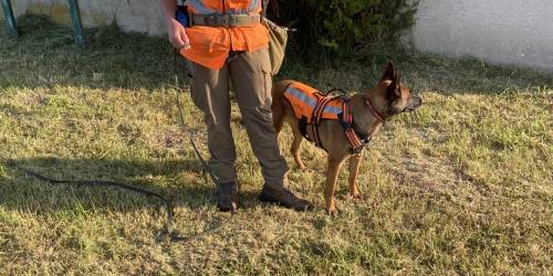 Recherche de fuites cynophile sur le plateau de la Diane à Epernon.