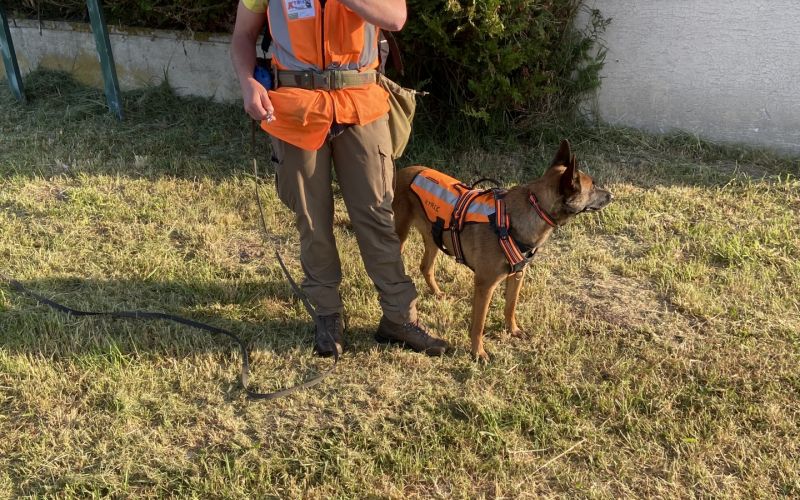 Recherche de fuites cynophile sur le plateau de la Diane à Epernon.